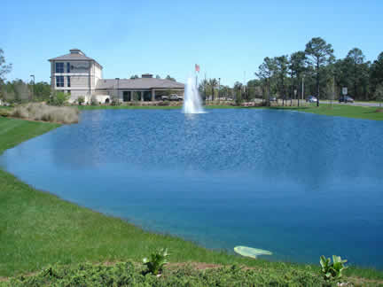 pond photo